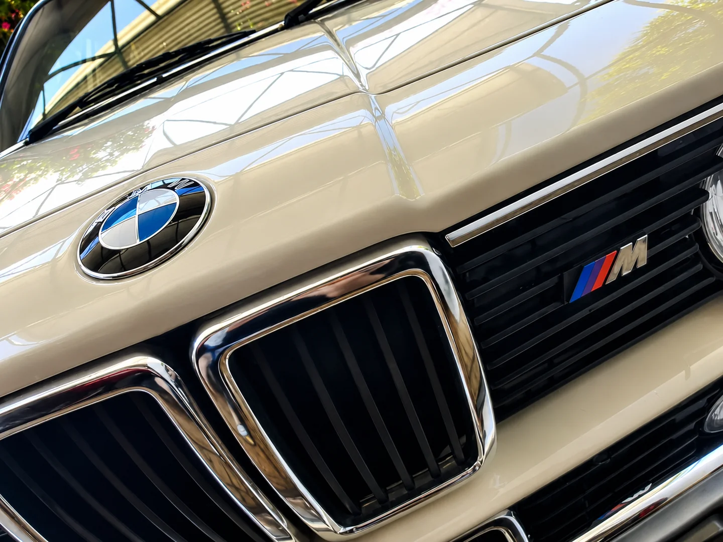 BMW M745i Grill